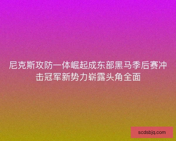 尼克斯攻防一体崛起成东部黑马季后赛冲击冠军新势力崭露头角全面